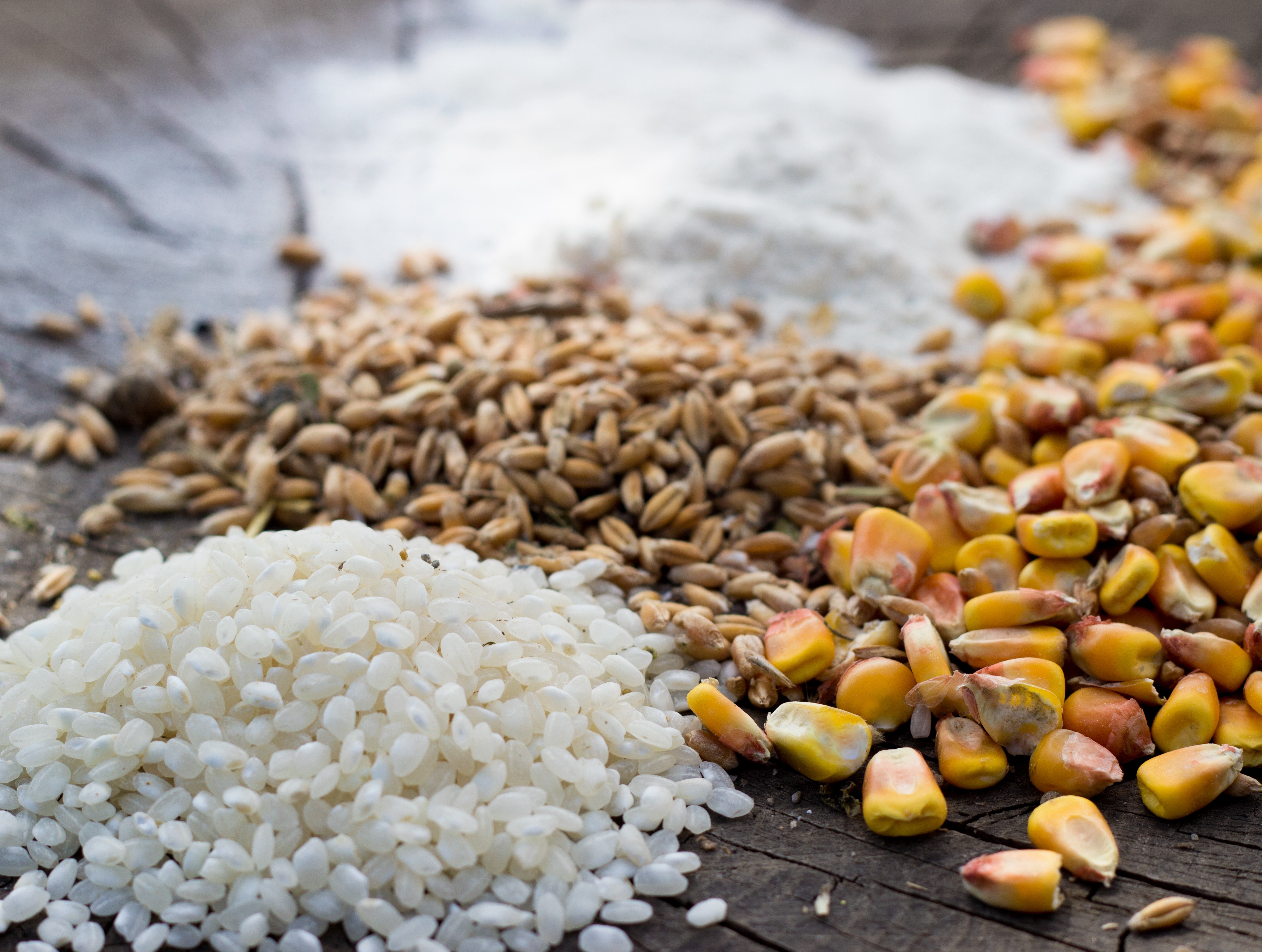 Grain Mix